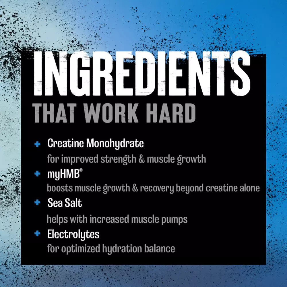 Animal Creatine Monohydrate HMB Powder with HMB & Electrolytes 327g 30 Servings