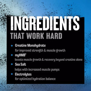 Animal Creatine Monohydrate HMB Powder with HMB & Electrolytes 327g 30 Servings