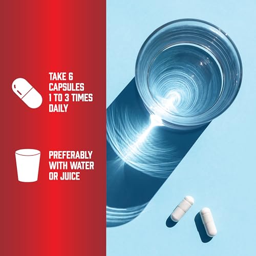 NOW Sports Creatine Monohydrate Vegetarian Capsules 120 240 Veg Caps