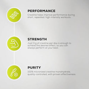 BioTechUSA 100% Creatine Monohydrate Micronised Quality 300g 60 Serving