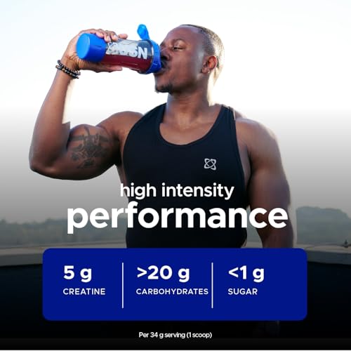 USN Creatine Anabolic Powder Flavoured Creatine BCAAs & Carbs  900g