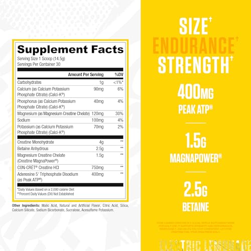 RYSE Loaded Creatine Muscle Building Formula Advanced Matrix 393 g