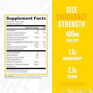 RYSE Loaded Creatine Muscle Building Formula Advanced Matrix 393 g