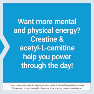 Life Extension Creatine Acetyl-L-Carnitine Energy Plus Powder 233g 30 Servings