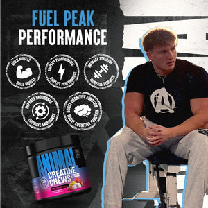 Animal Creatine Chews 5g Monohydrate + AstraGin 120 Chewable Tablets