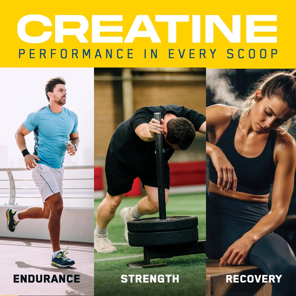 Applied Nutrition Creatine Monohydrate + Peptide for Strength 444g 60 Servings